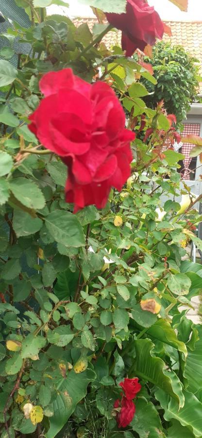 A La Bonne Franquette Villa Marquise Ngoại thất bức ảnh